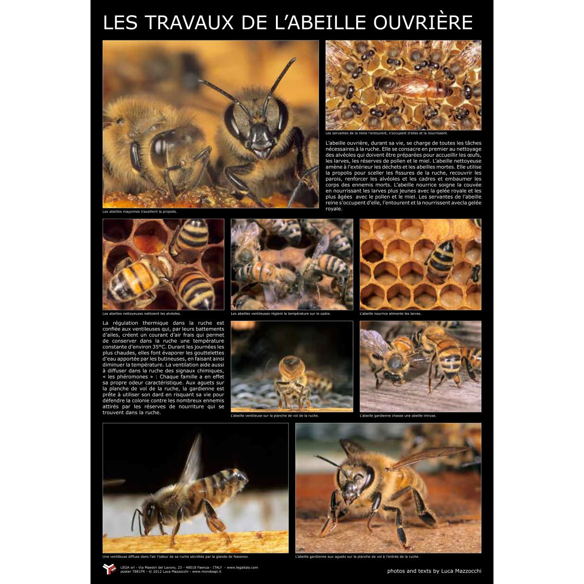 Panneau Photo 87 x 60 cm