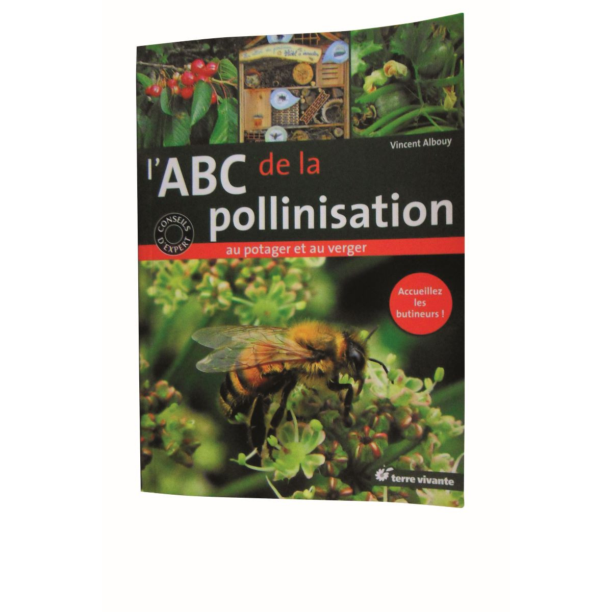 l'ABC de la pollinisation au potager et au verger