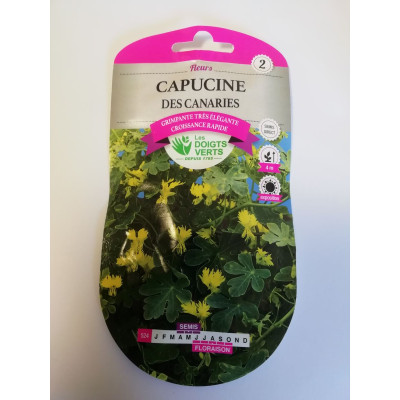 Capucine des Canaries 3 gr