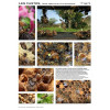 Poster Apiculture 60 x 84 cm