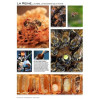 Poster Apiculture 60 x 84 cm