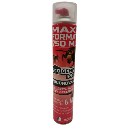 Insecticide guêpes et frelons
