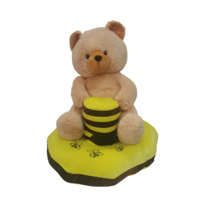 Ours en peluche sur coussin...