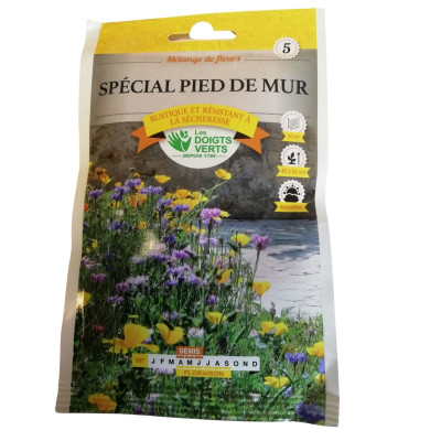 Mélange fleurs pied de mur...