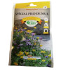 Mélange Fleurs Pied de Mur 20g - Floraison Mellifère