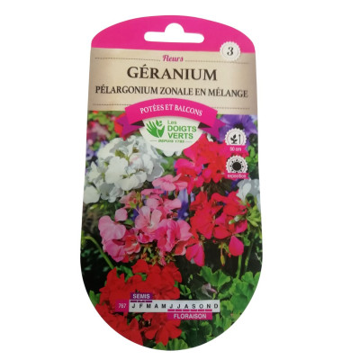 Géranium pelargonium zonale...