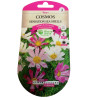 Graines Cosmos Sea Shells 2g - Plante Mellifère