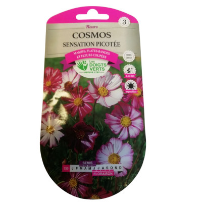 Cosmos picotée 2 gr