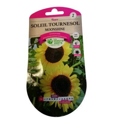Soleil tournesol Moonshine...