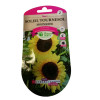 Graines Tournesol Moonshine 2g - Plante Mellifère