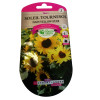Graines Tournesol Nain Yellow Star 2g - Plante Mellifère