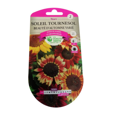 Soleil beauté d'Automne...