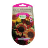 Graines Soleil Beauté d'Automne Varié 3 gr