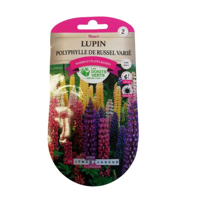 Lupin polyphylle de Russel...