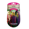 Graines Lupin Polyphylle Russell Varié 3g - Plante Mellifère