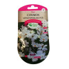 Cosmos Sensation Blanc 2g - Graines Plante Mellifère