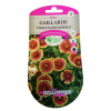 Graines Gaillarde Vivace Naine Kobold 0,5 g