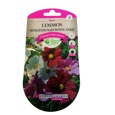 Cosmos sensation  nain...