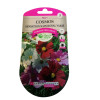 Graines Cosmos Sensation Nain Royal Varié 2g