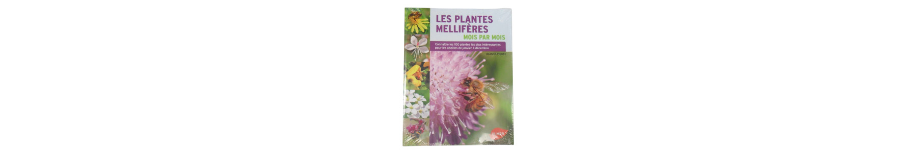 Plantes — Matériel apicole Route d'Or